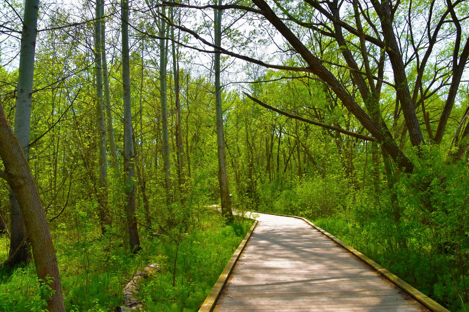 The path to exceptional craftsmanship - Black Barn Construction
